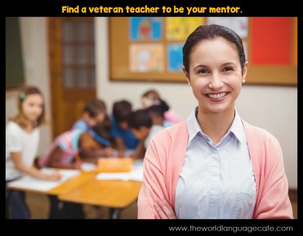 Find a Veteran Teacher to Mentor You