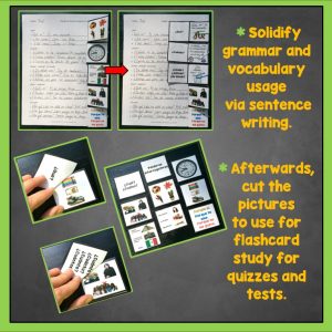 Trifold Flashcards