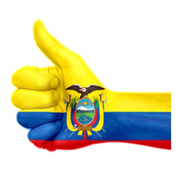 Bolivian flag painted on a hand